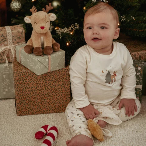 Little Dutch - Christmas Newborn Giftset