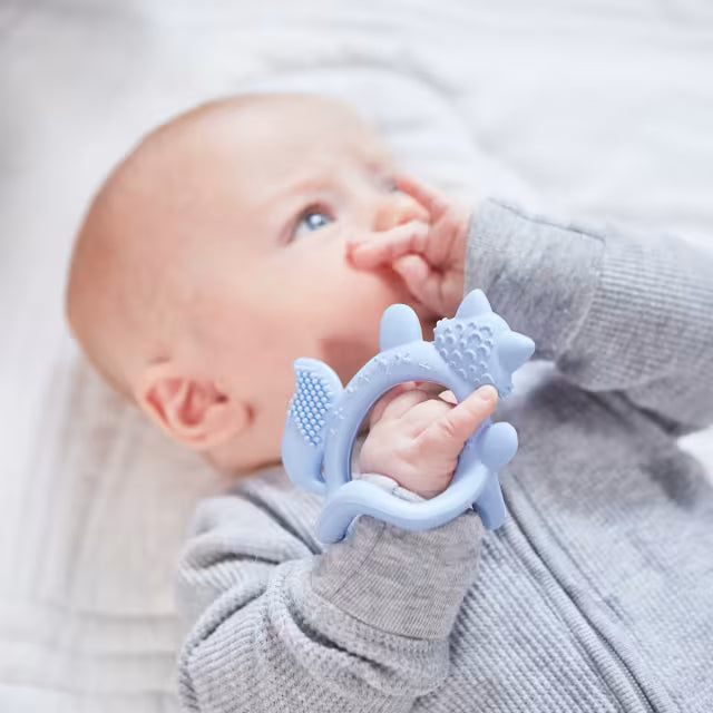 Bbox - Wrist Teether - Fox
