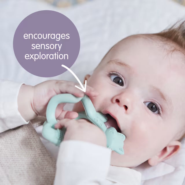 Bbox - Wrist Teether - Fox