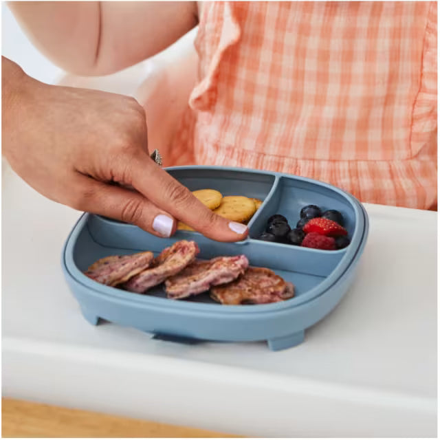 Bbox - 2in1 Suction Plate