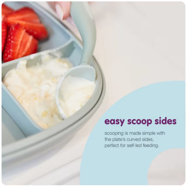 Bbox - 2in1 Suction Plate