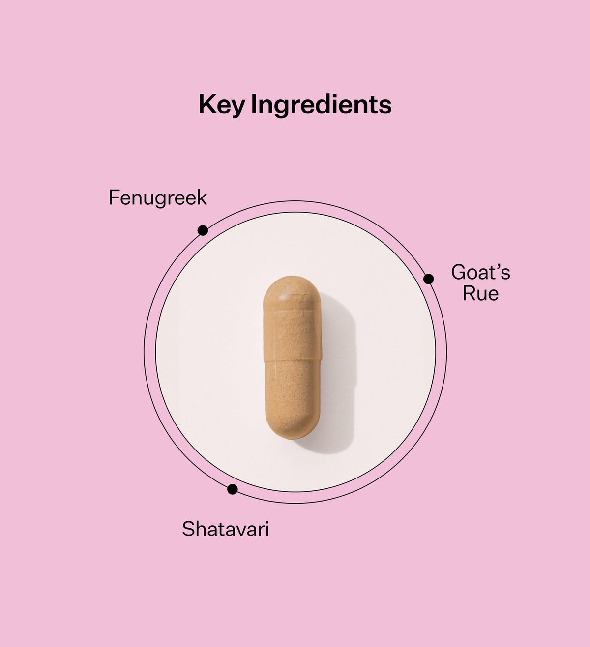 Two Islands - Milk Maker Capsules