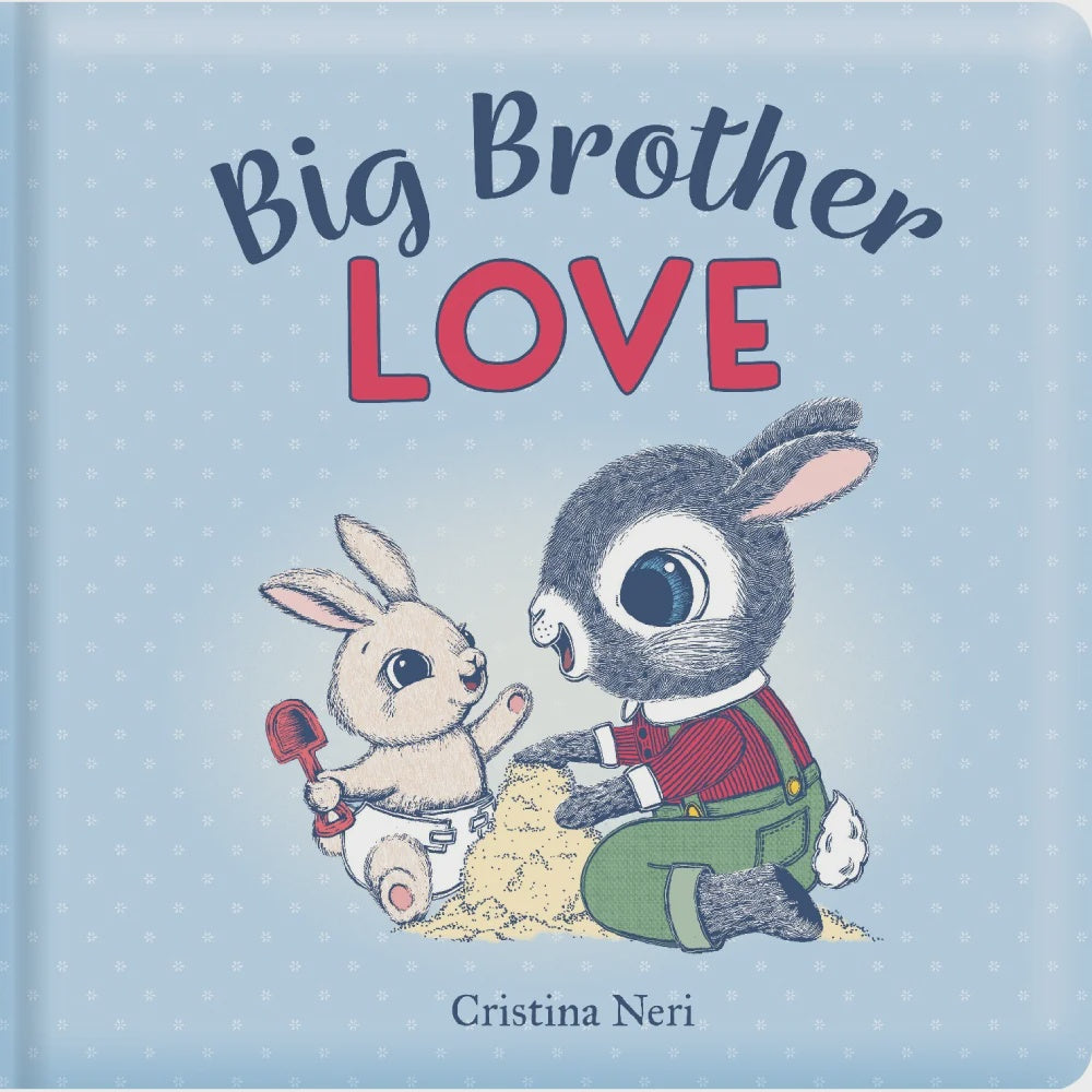 Big Brother Love Book