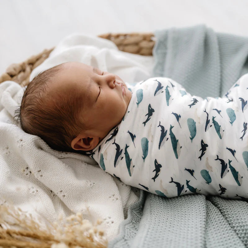 Mod + Tod - Stretchy Swaddle - Whales Tales