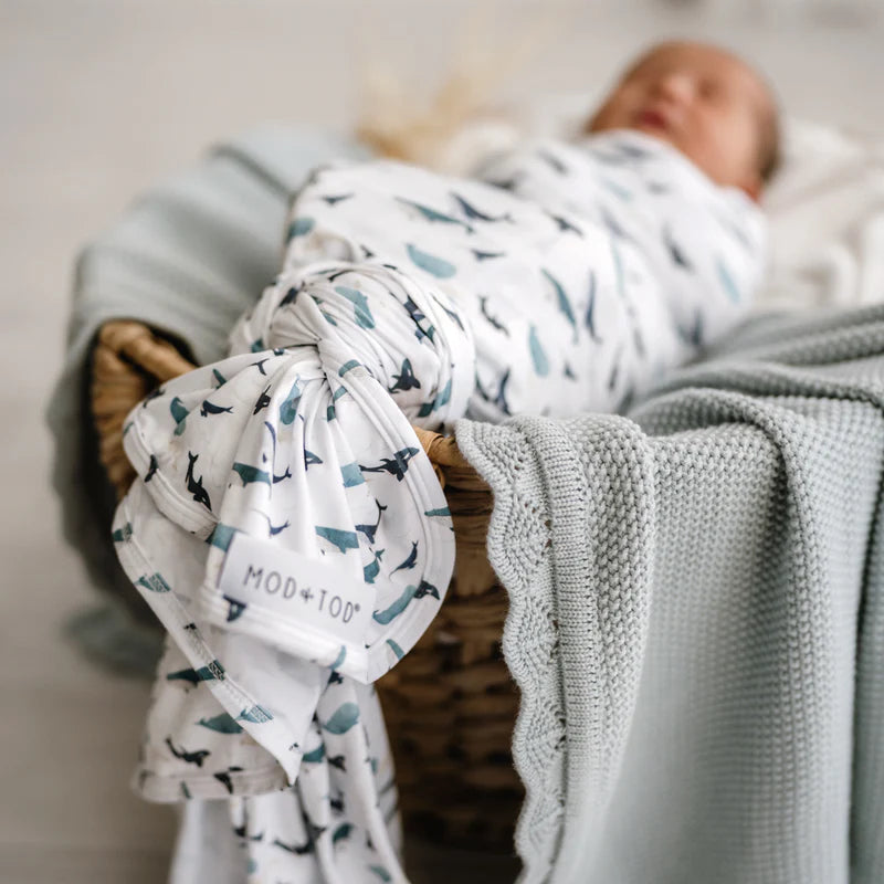 Mod + Tod - Stretchy Swaddle - Whales Tales