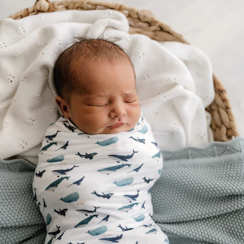 Mod + Tod - Stretchy Swaddle - Whales Tales