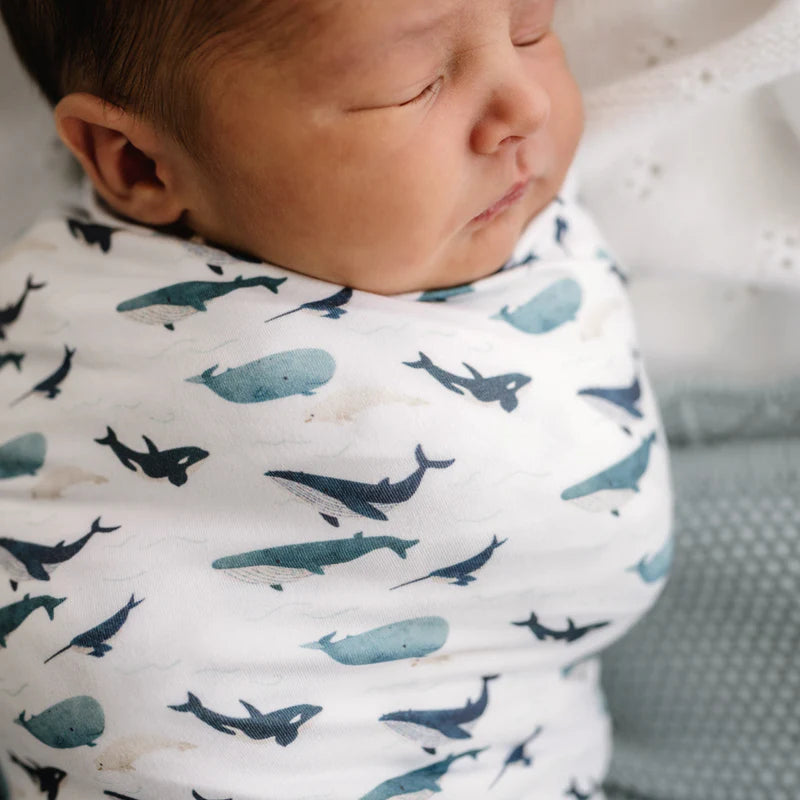 Mod + Tod - Stretchy Swaddle - Whales Tales