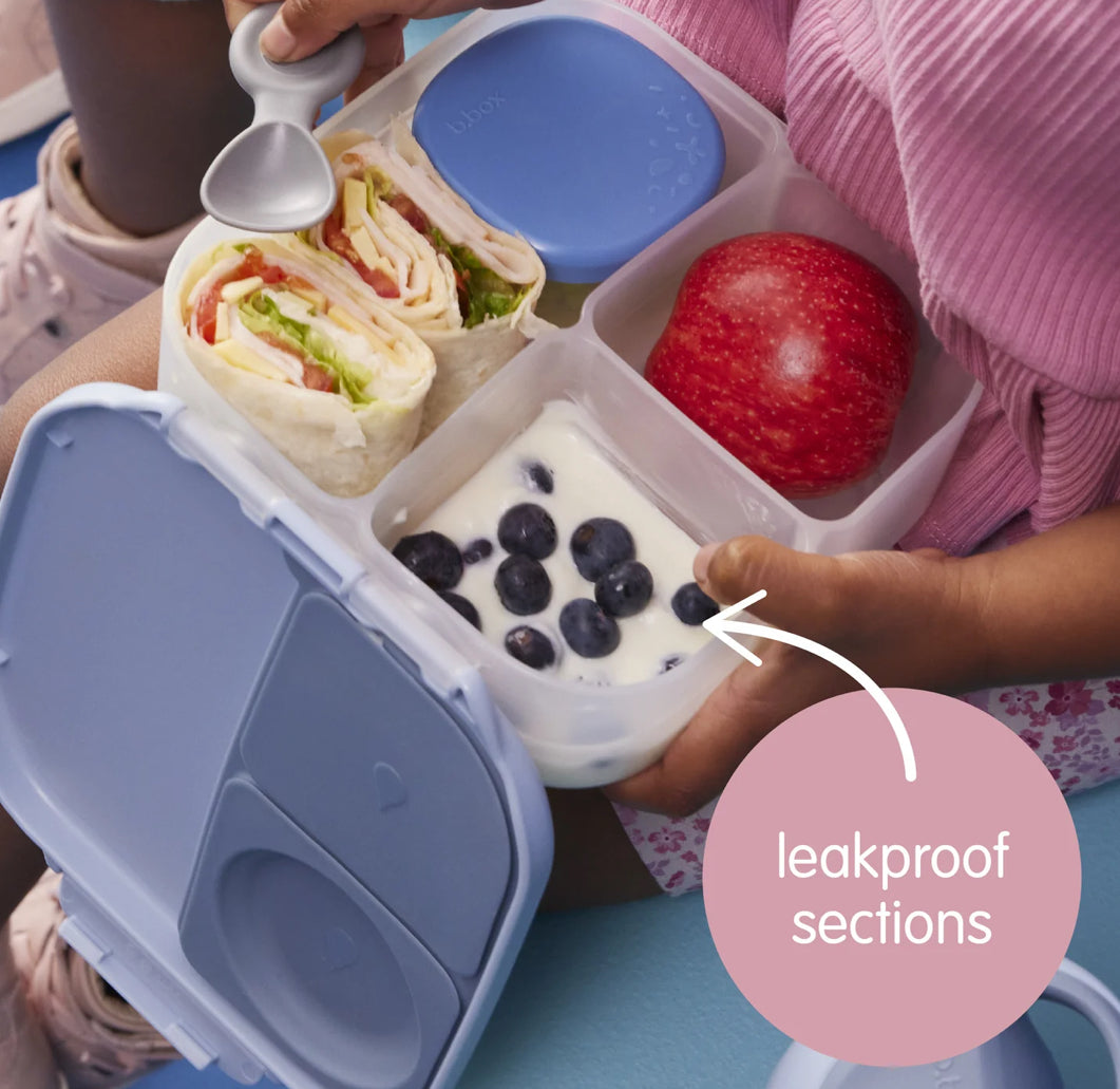 BBox - Mini Lunchbox