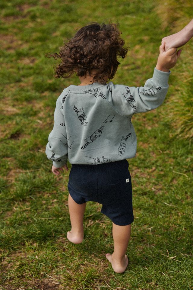 Nature Baby - Emerson Sweater - Raccoon Rhapsody
