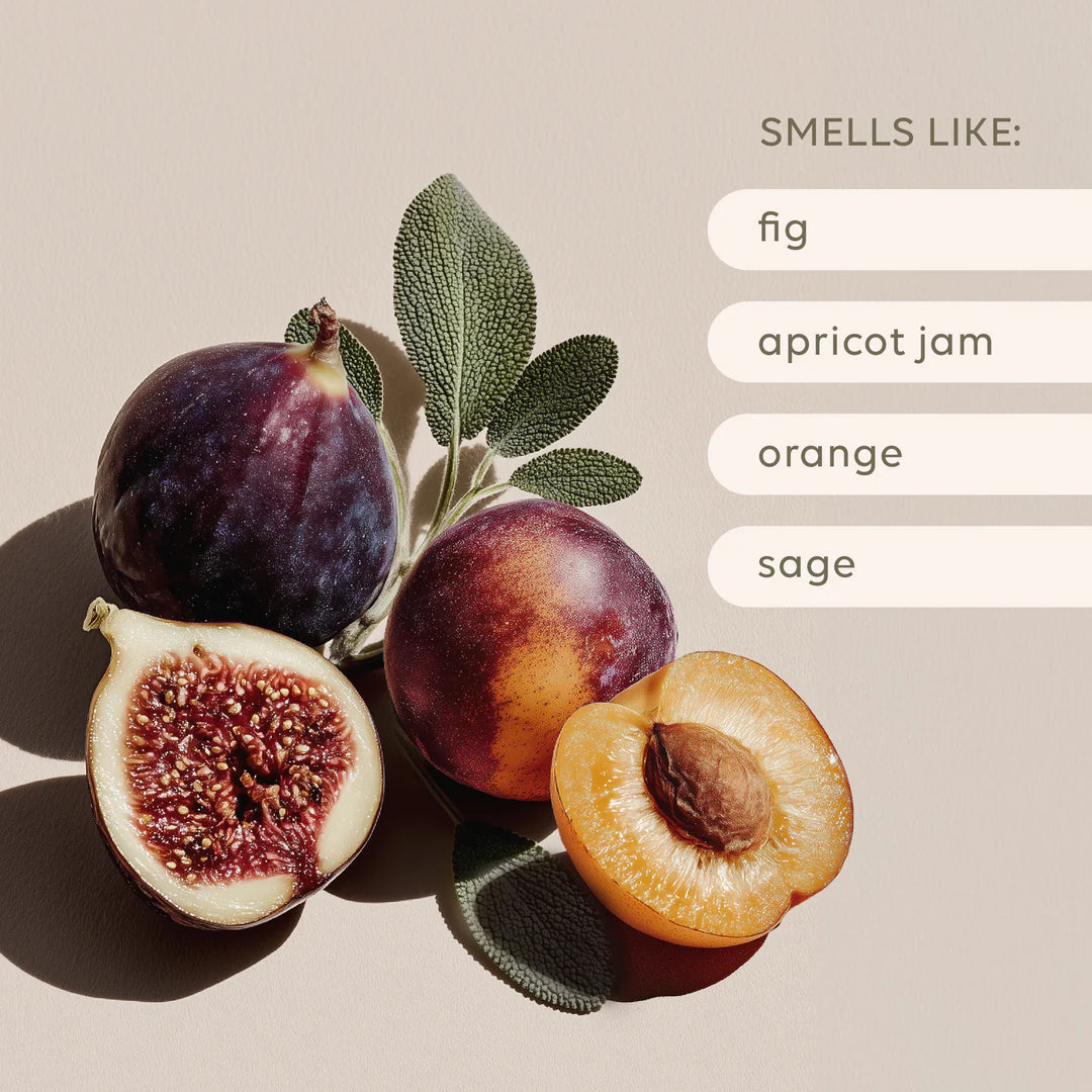 Al.ive - Soy Candle - Apricot + Sweet Fig