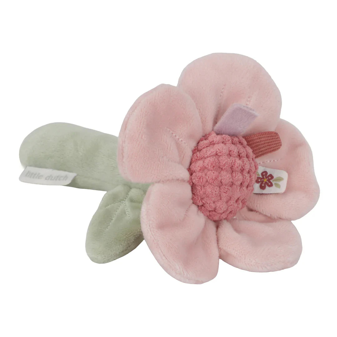 Rattle Flower - Fairy Garden