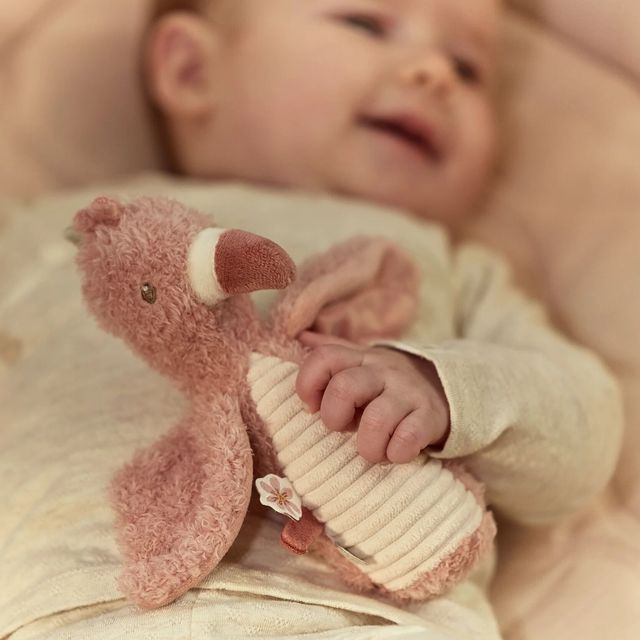 Safari Friends - Flamingo Rattle Squeaker