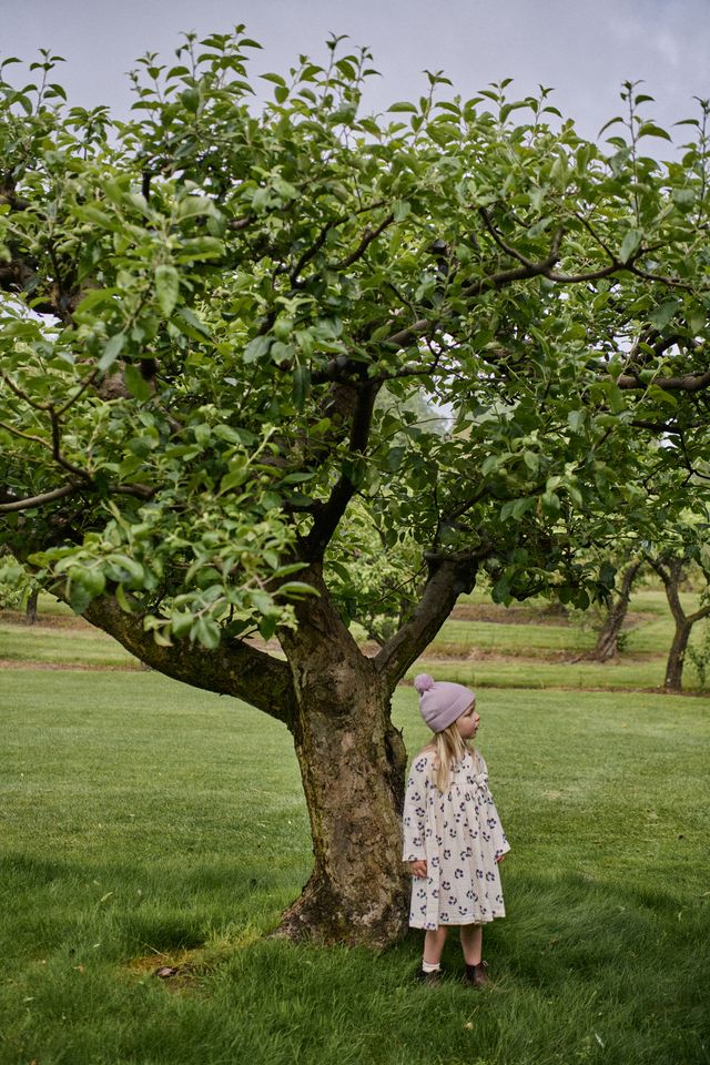 Nature Baby - Mabel Dress - Winter Berry Natural