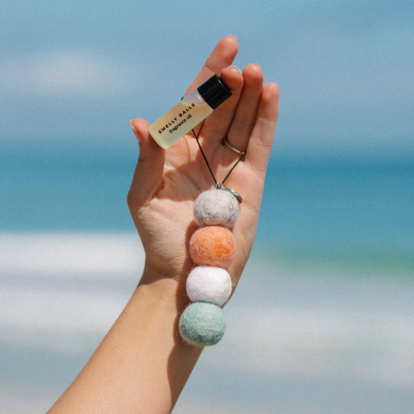Smelly Balls - Reusable Air Freshener - Seapink