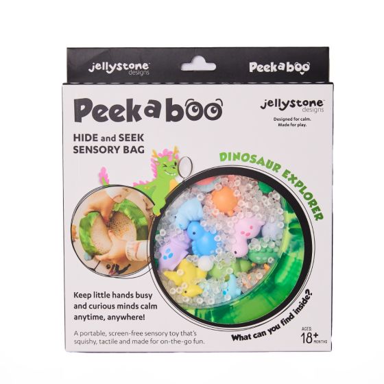 Peekaboo Sensory Bag - Dinosaur