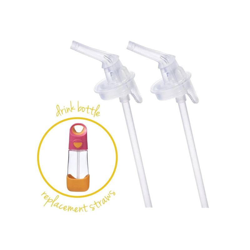 BBox - Tritan Drink Bottle Replacement Straw Top 2pk