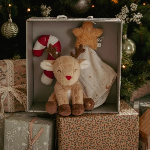 Little Dutch - Christmas Newborn Giftset