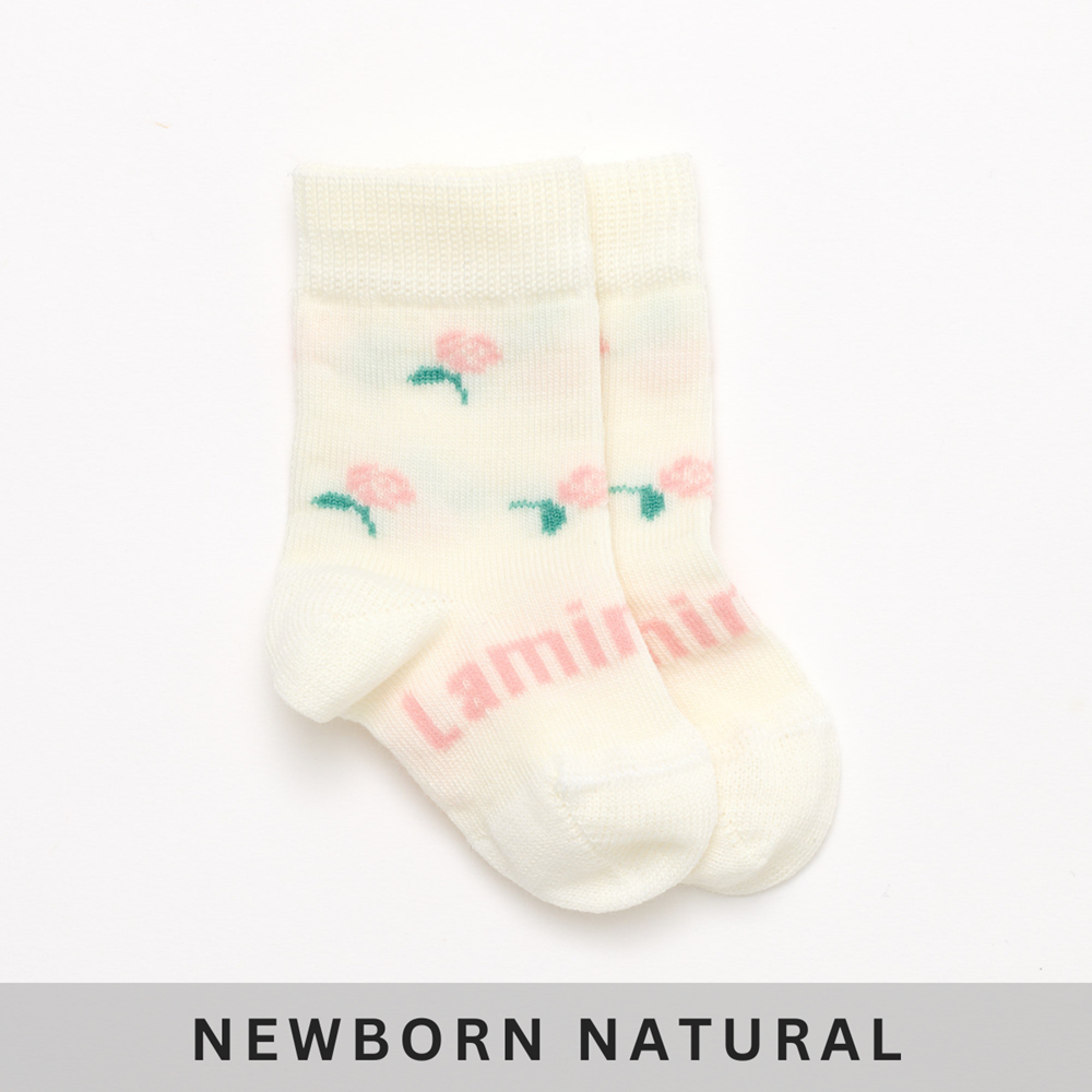 Lamington - Merino Crew Socks - Rosa