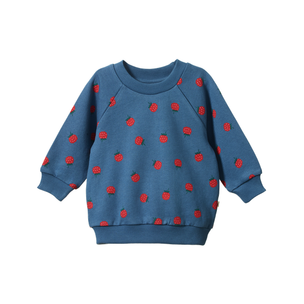 Nature Baby - Emerson Sweater - Raspberry Blue