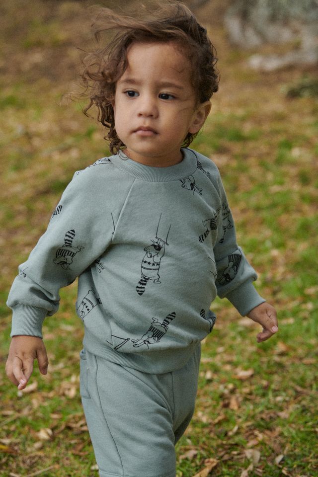 Nature Baby - Emerson Sweater - Raccoon Rhapsody