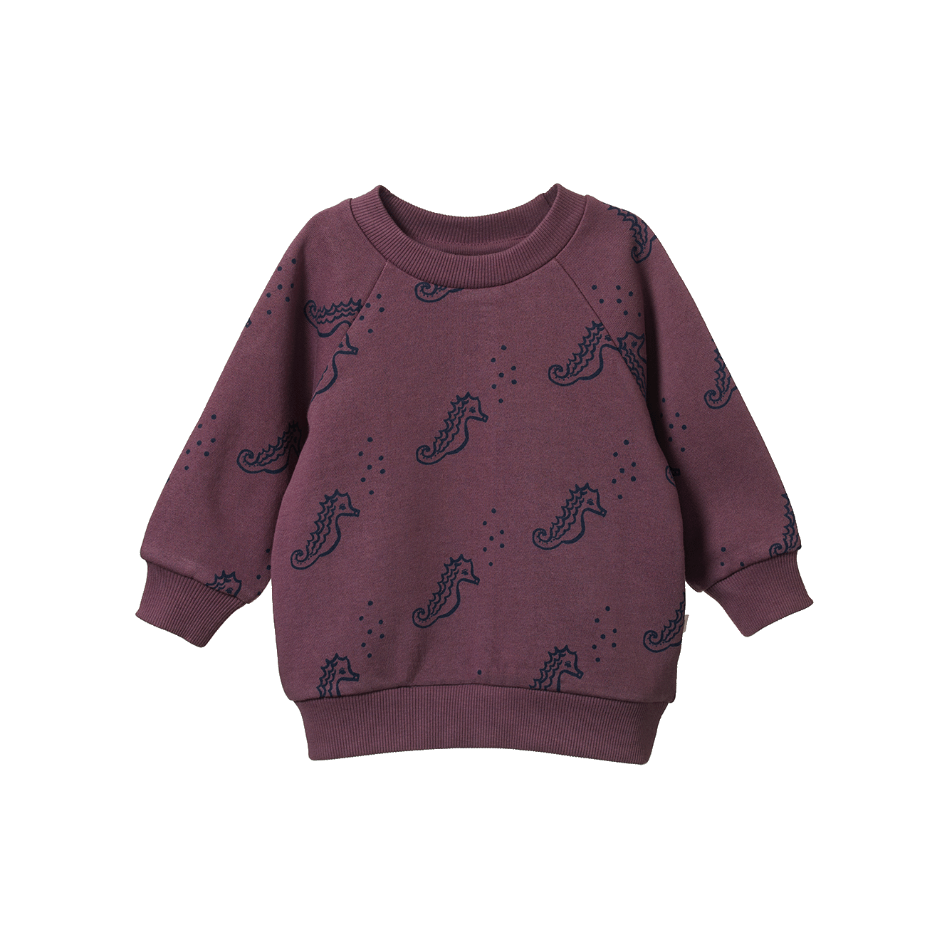 Nature Baby - Emerson Sweater - Neptune