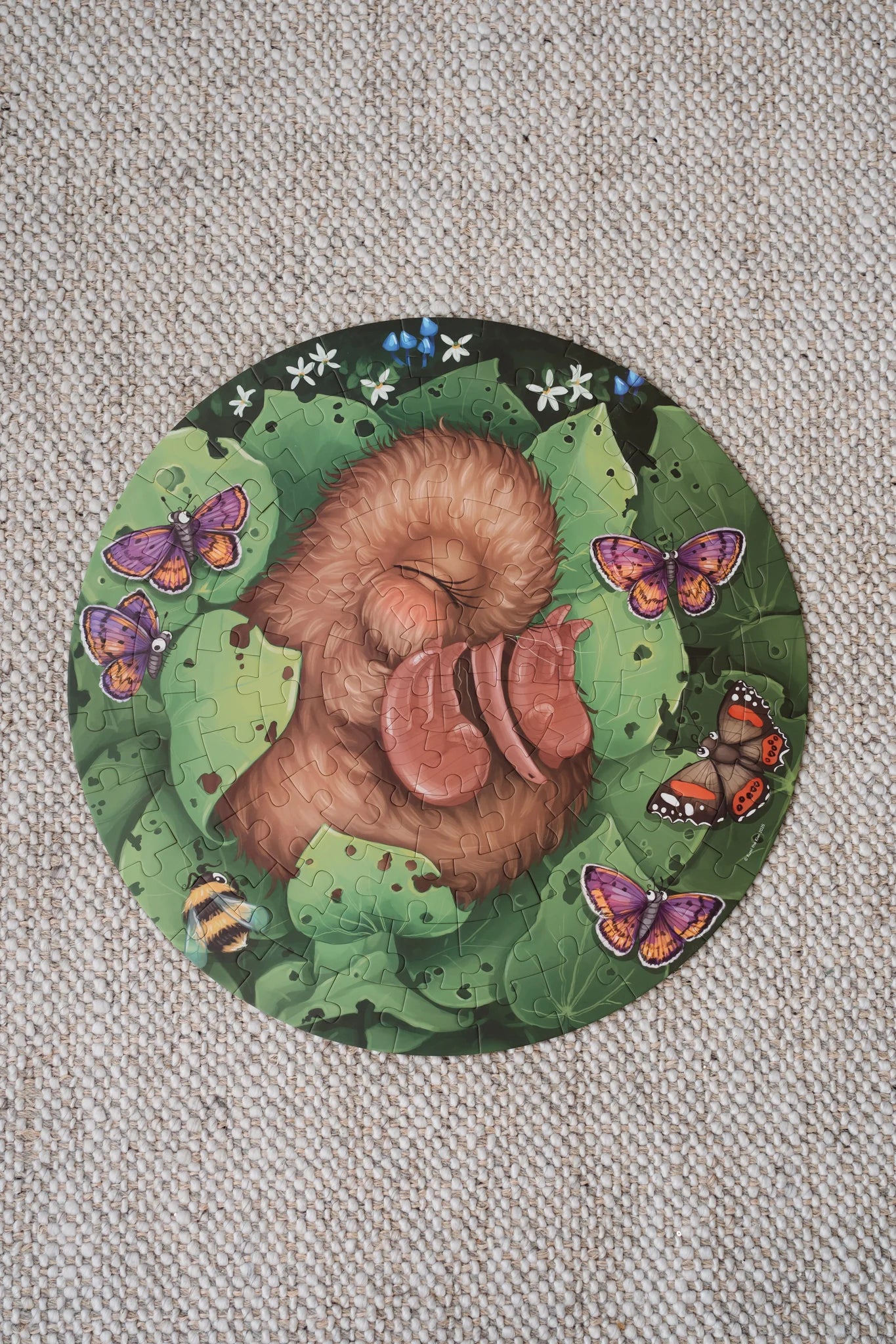 Kuwi the Kiwi - 100pc Puzzle - Kiwi Dreams