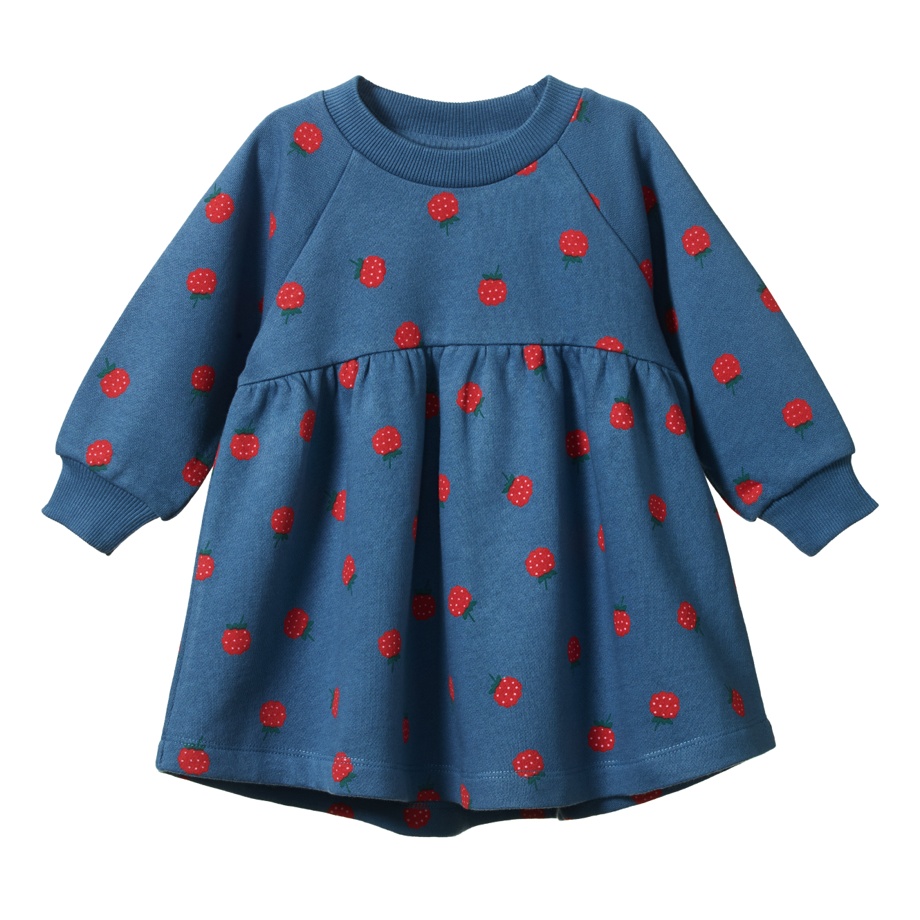 Nature Baby - Ines Dress - Raspberry Blue