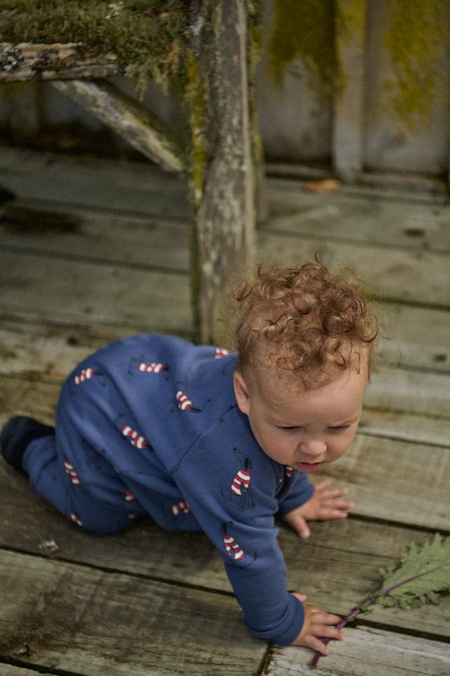 Nature Baby - Long Sleeve Juno Romper - Best Friend Indigo