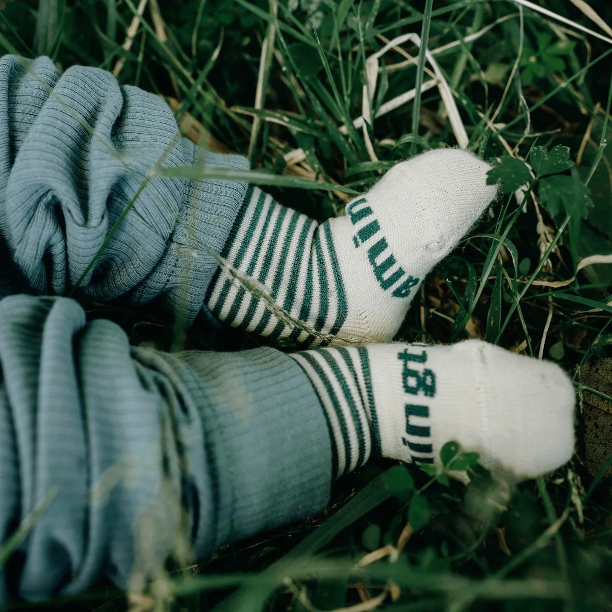 Lamington - Merino Crew Socks - Tui