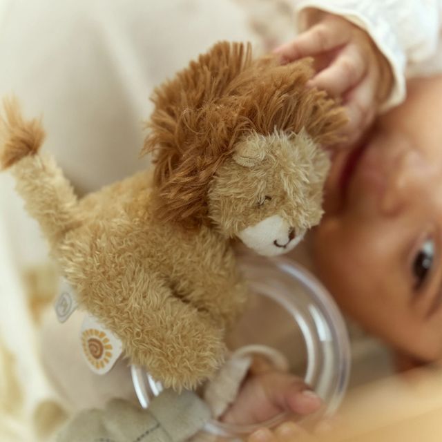 Safari Friends - Lion Ring Rattle