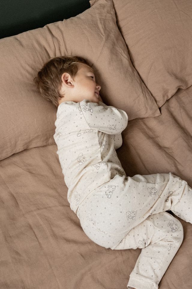 Nature Baby - Long Sleeve Pyjama Set - Bramble Burrow Sleep Print