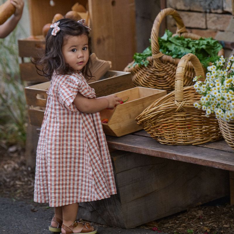 Nature Baby - Una Dress - Dandelion Gingham