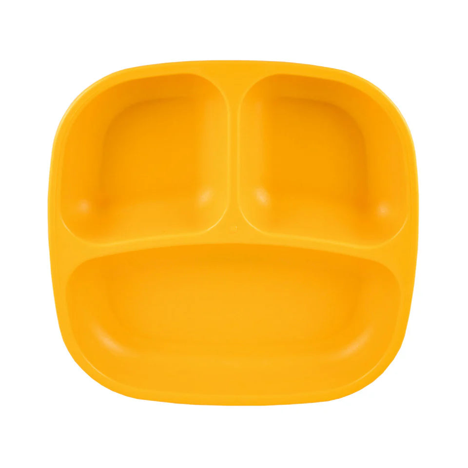 Re-Play - Divided Plate