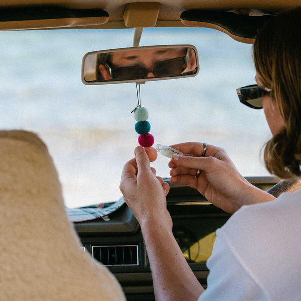 Smelly Balls - Reusable Air Freshener - Roadie