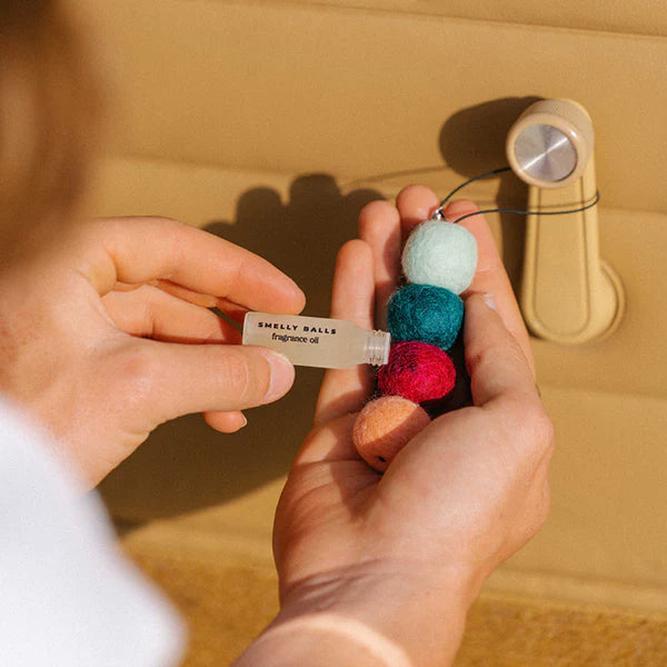 Smelly Balls - Reusable Air Freshener - Roadie