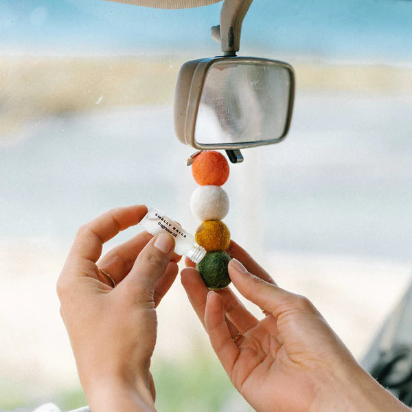 Smelly Balls - Reusable Air Freshener - Sunglo