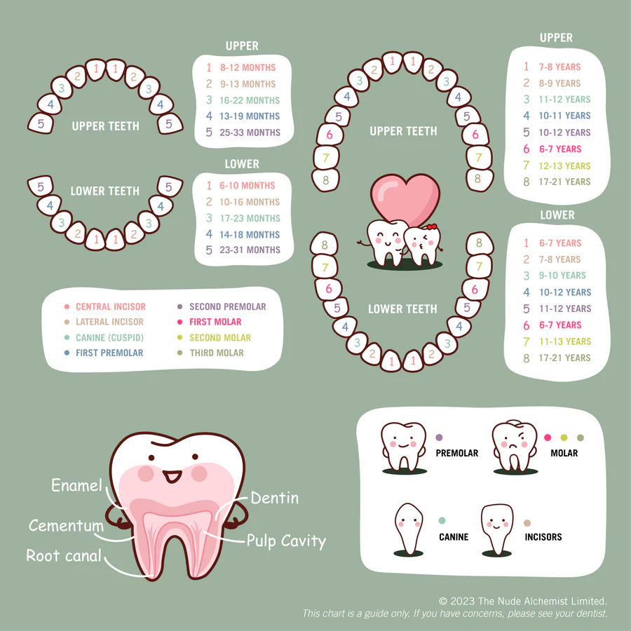 The Nude Alchemist - Teething Tamer 30g