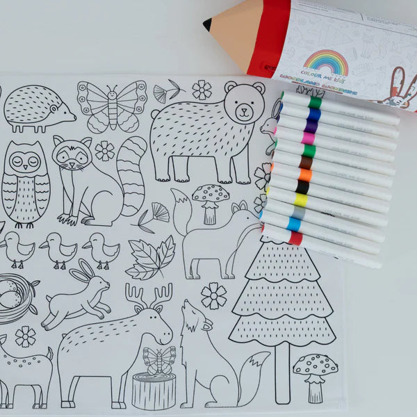 Washable + Reusable Colouring-In Mats