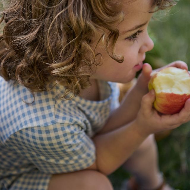 Nature Baby - Saturday Dress - Blue Gingham