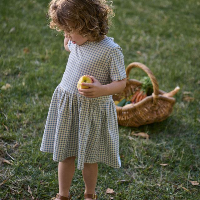 Nature Baby - Saturday Dress - Blue Gingham