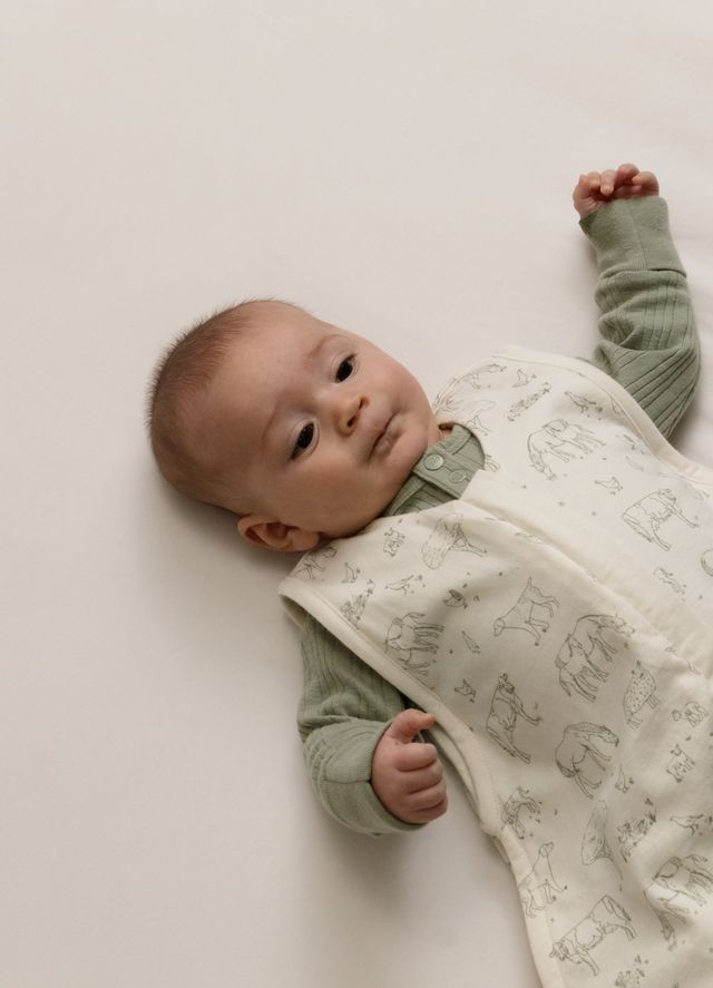 Woolbabe 3-Seasons Front Zip - Farmyard - 3-24M