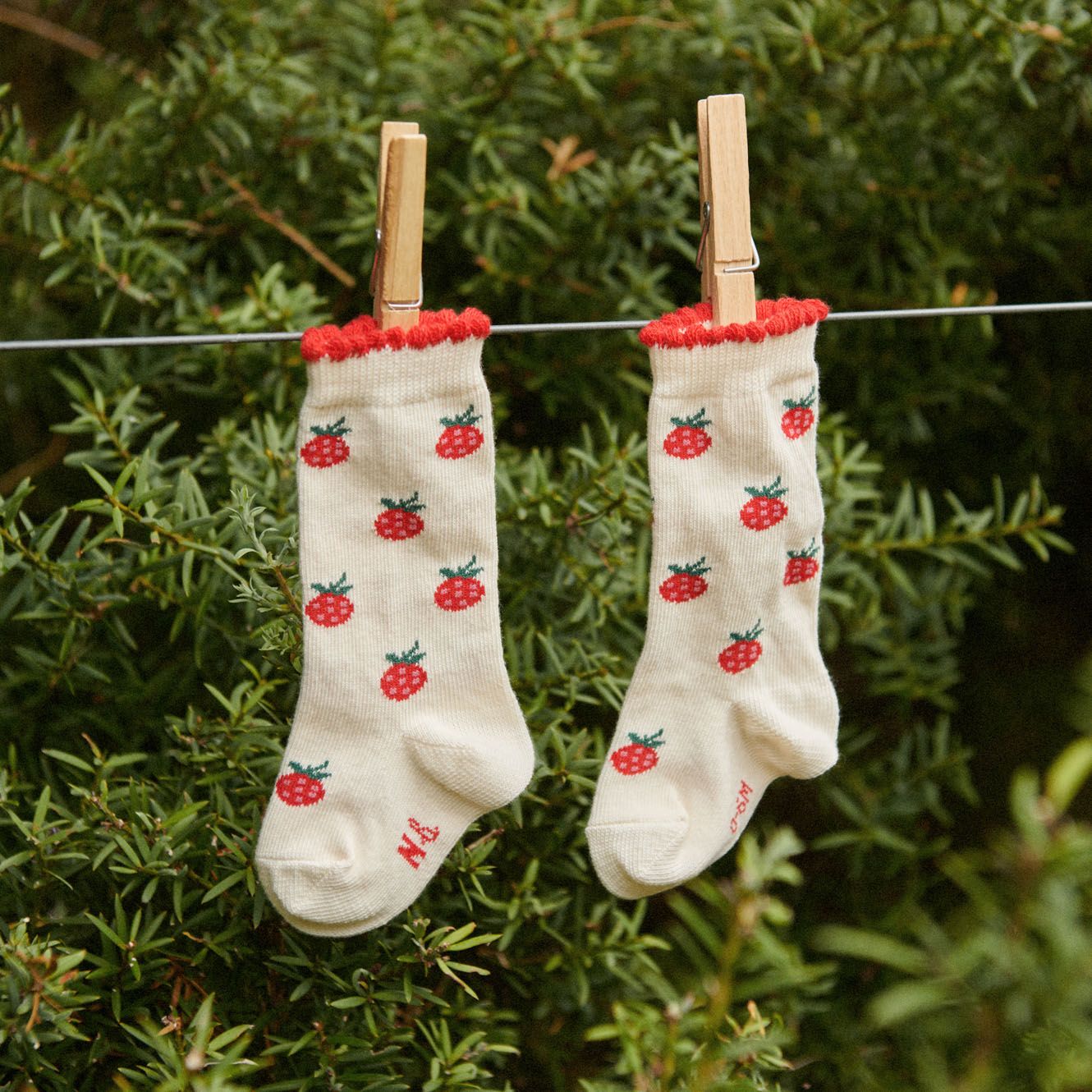 Nature Baby - Organic Cotton Socks - Raspberries